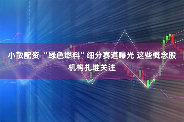 小散配资 “绿色燃料”细分赛道曝光 这些概念股机构扎堆关注