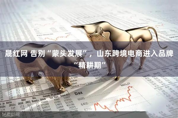 晟红网 告别“蒙头发展”，山东跨境电商进入品牌“精耕期”