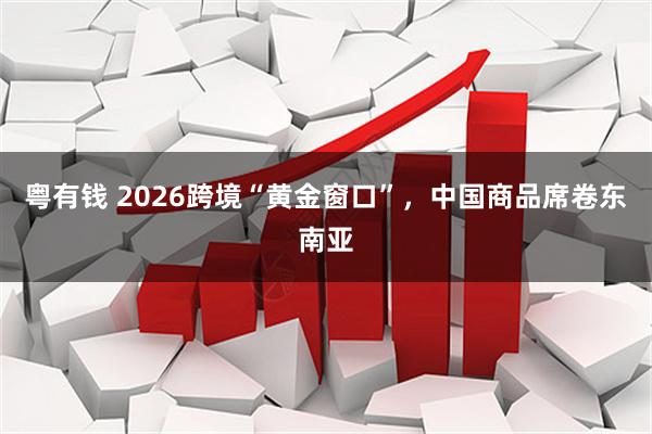 粤有钱 2026跨境“黄金窗口”，中国商品席卷东南亚