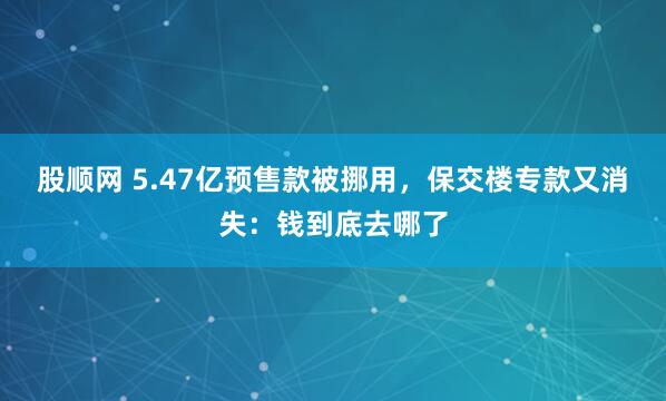 股顺网 5.47亿预售款被挪用，保交楼专款又消失：钱到底去哪了
